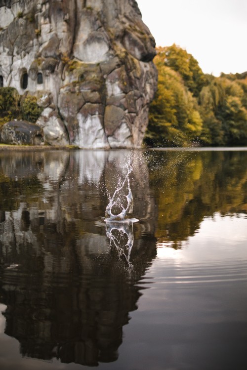 Image reflection, tree, rock, nature, tokyo skytree