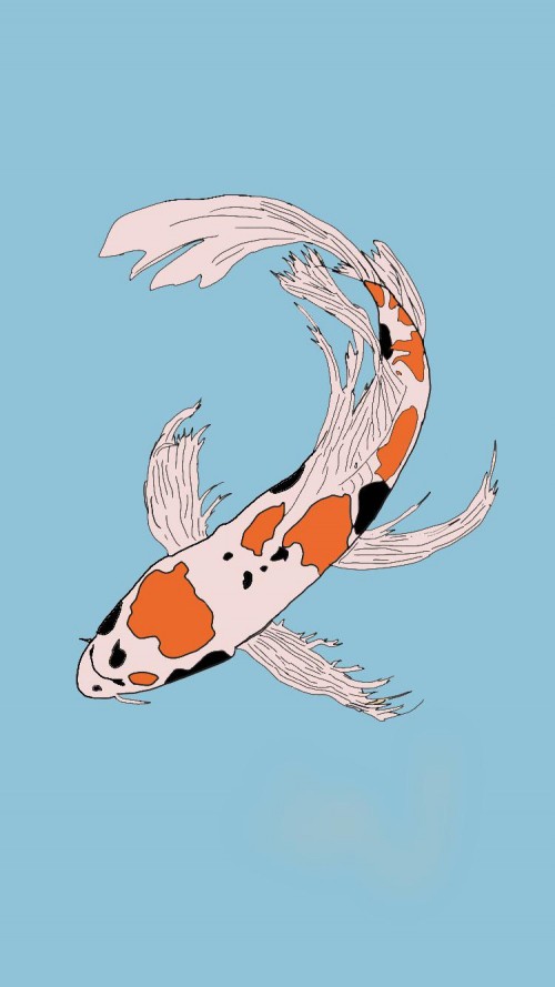 Image koi, science, fin, fish, art