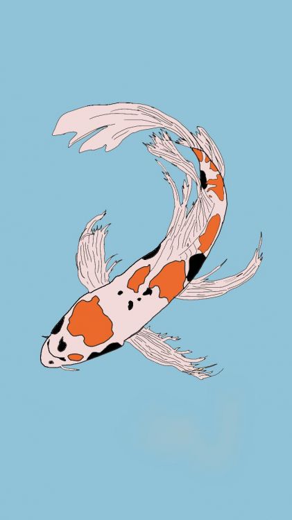 Koi, Sciences, Nageoire, Poisson, Art. Wallpaper in 750x1334 Resolution