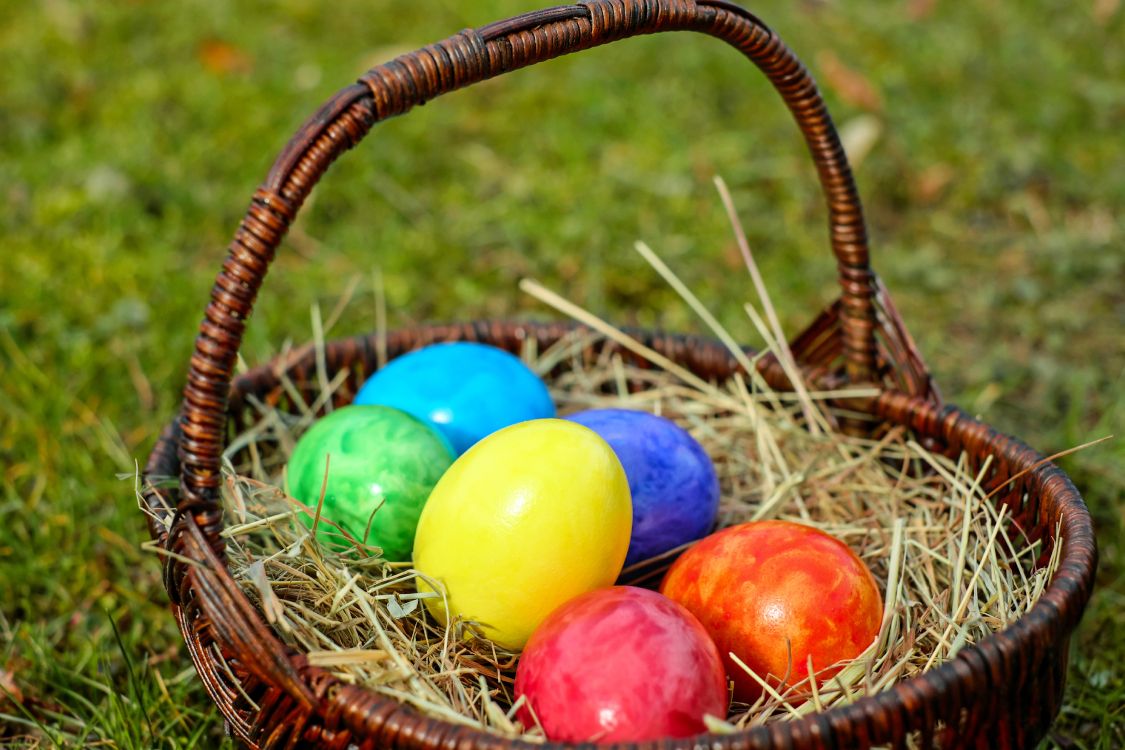 复活节兔子, 复活节彩蛋, 假日, 复活节篮子, 篮子里 壁纸 4896x3264 允许