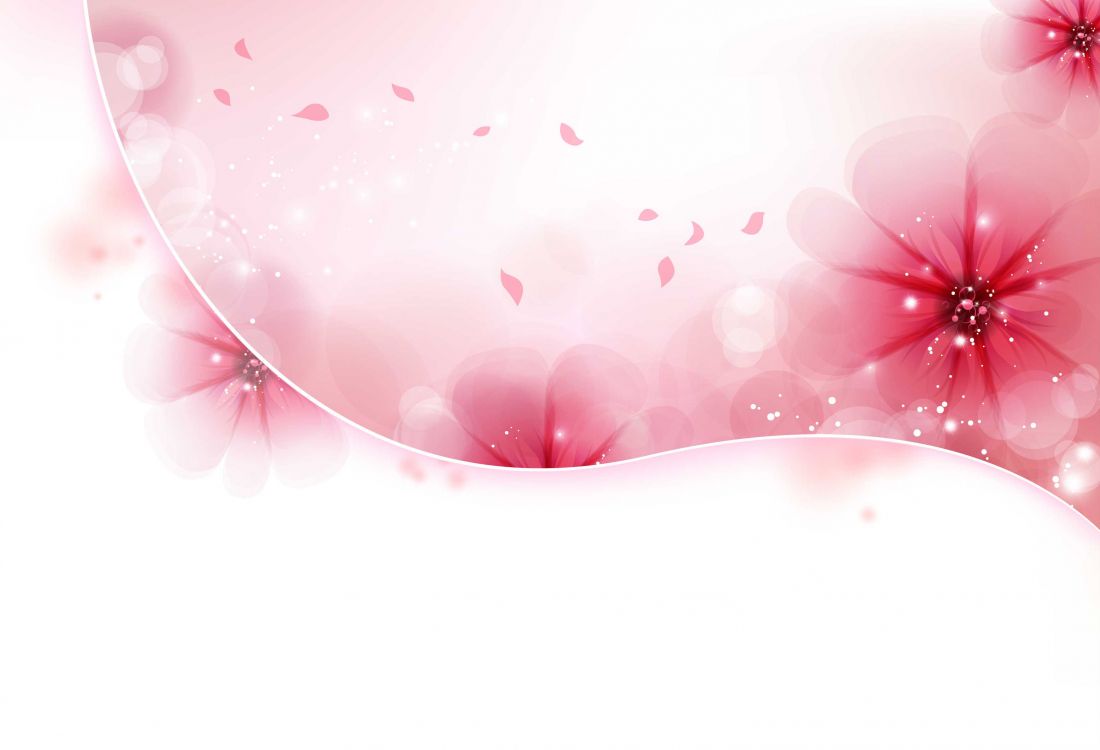 颜色, 粉红色, 心脏, 开花, 品红色 壁纸 3300x2248 允许