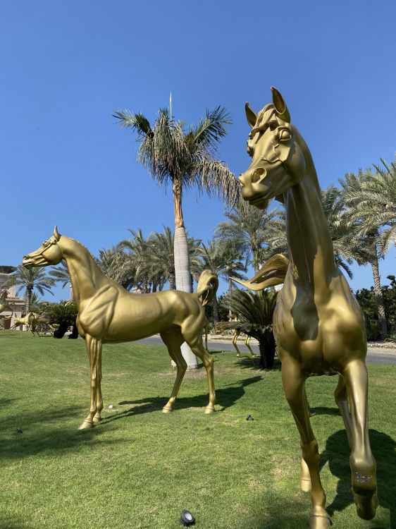 草, 种马, 小马驹, Mare, 生态系统 壁纸 1536x2048 允许