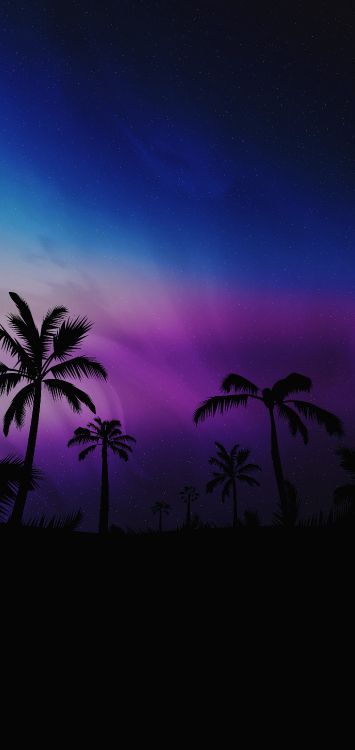 Hermoso Teléfono Negro, Cuerpo de Agua, Naturaleza, la Vegetación, Sucursal. Wallpaper in 1800x3800 Resolution