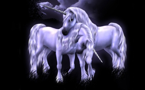 Image white horse with wings illustration