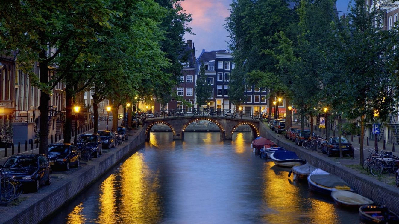 people riding on boat on river during night time