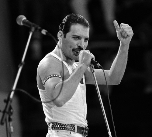 Image Freddie Mercury, queen, Live Aid, music artist, microphone