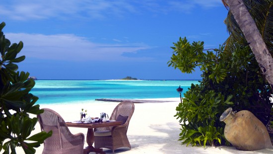 Image brown wooden outdoor lounge chairs on beach during daytime