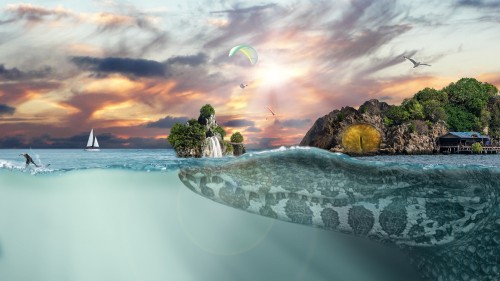 Image white and black surfboard on seashore during daytime