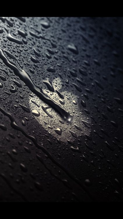 Apple, Schwarz, Wasser, Blatt, Monochrom. Wallpaper in 1127x2000 Resolution