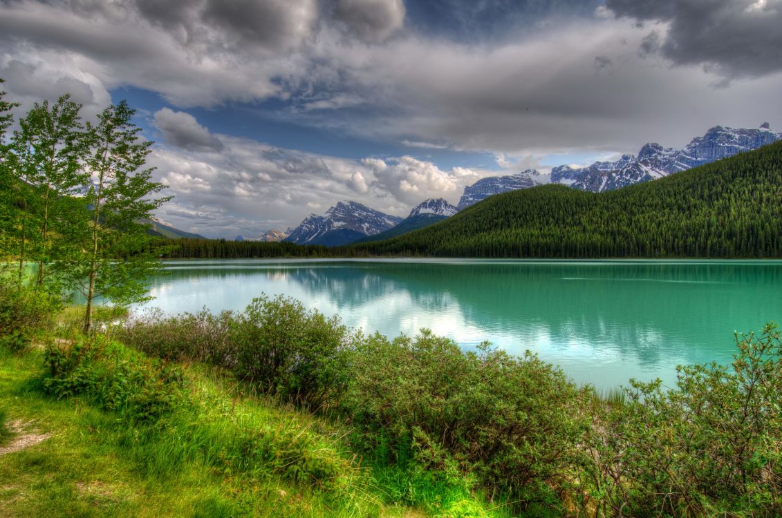 green grass field near lake under cloudy sky during daytime