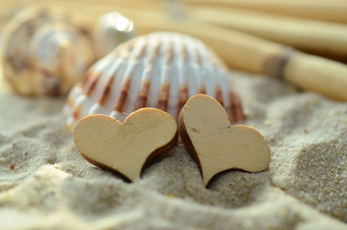 Sand, Herzen, Strand, Shell, Lebensmittel. Wallpaper in 4928x3264 Resolution
