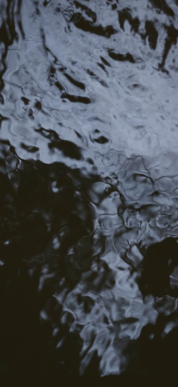 Image water, reflection, black, tree, monochrome