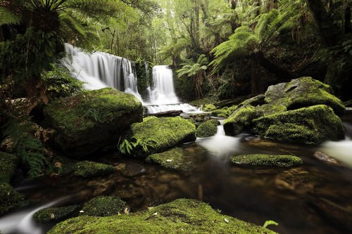 Image water falls in the middle of the forest