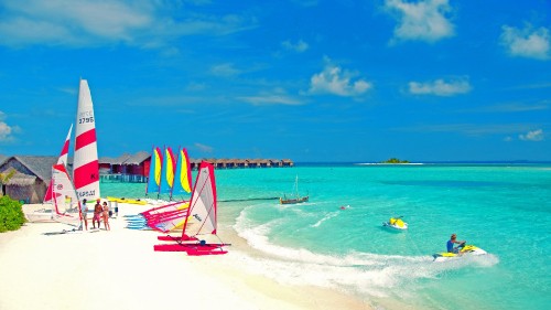 Image red and blue beach umbrellas on beach shore during daytime