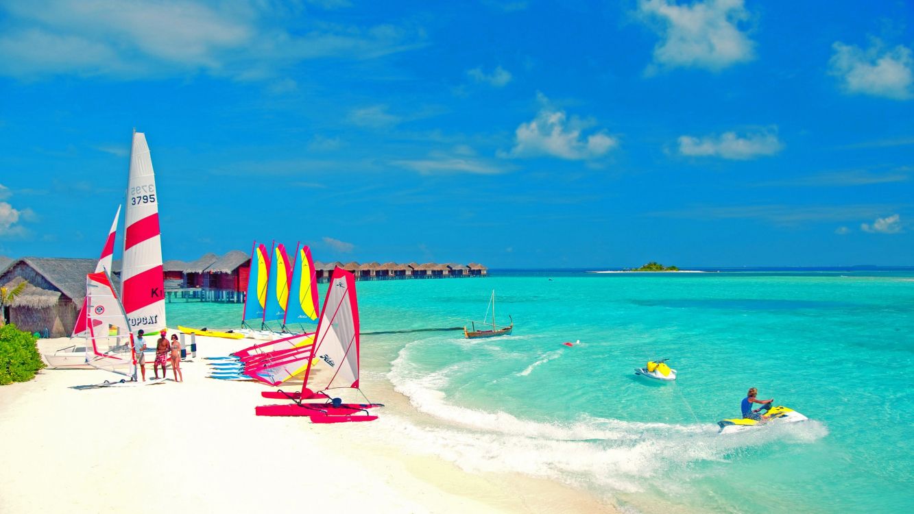 red and blue beach umbrellas on beach shore during daytime