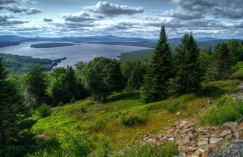 Image green trees near body of water under cloudy sky during daytime