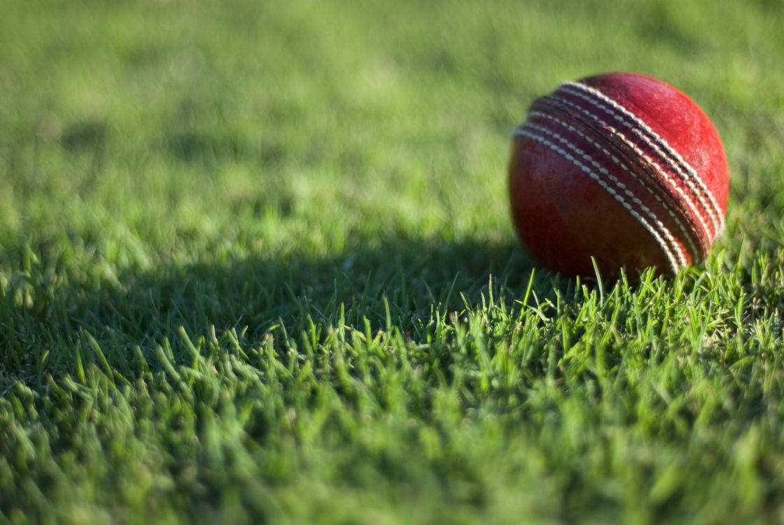 red and white ball on green grass field during daytime