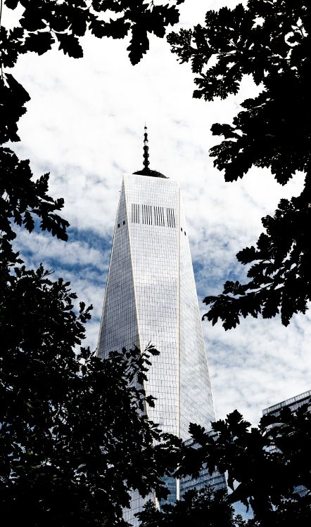 grayscale photo of high rise building