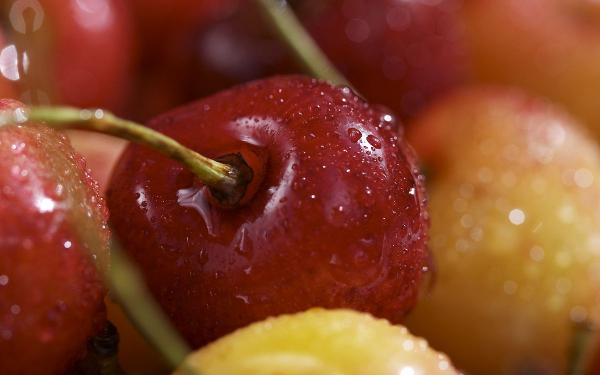 red apple fruit and yellow citrus fruit