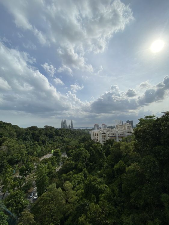 Végétation, la Journée, Zone Urbaine, Cumulus, Biome. Wallpaper in 1536x2048 Resolution