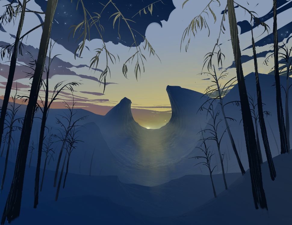 Silueta de Palmera de Coco Durante la Puesta de Sol. Wallpaper in 3300x2550 Resolution