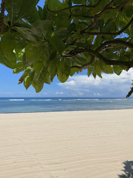 Eau, Biologie, Sciences, Plante, Corps de L'eau. Wallpaper in 1536x2048 Resolution