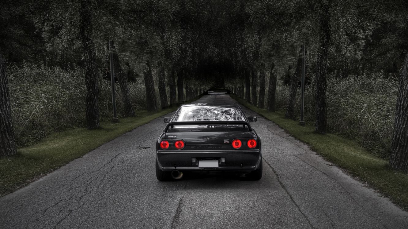 black car on road in between trees during daytime