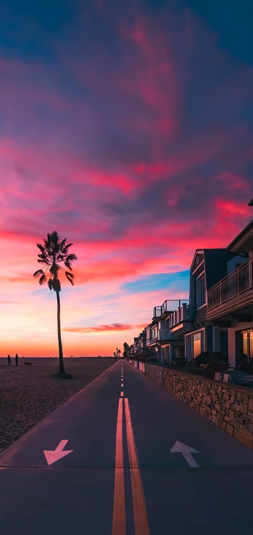 Image palm tree, cloud, atmosphere, tree, afterglow