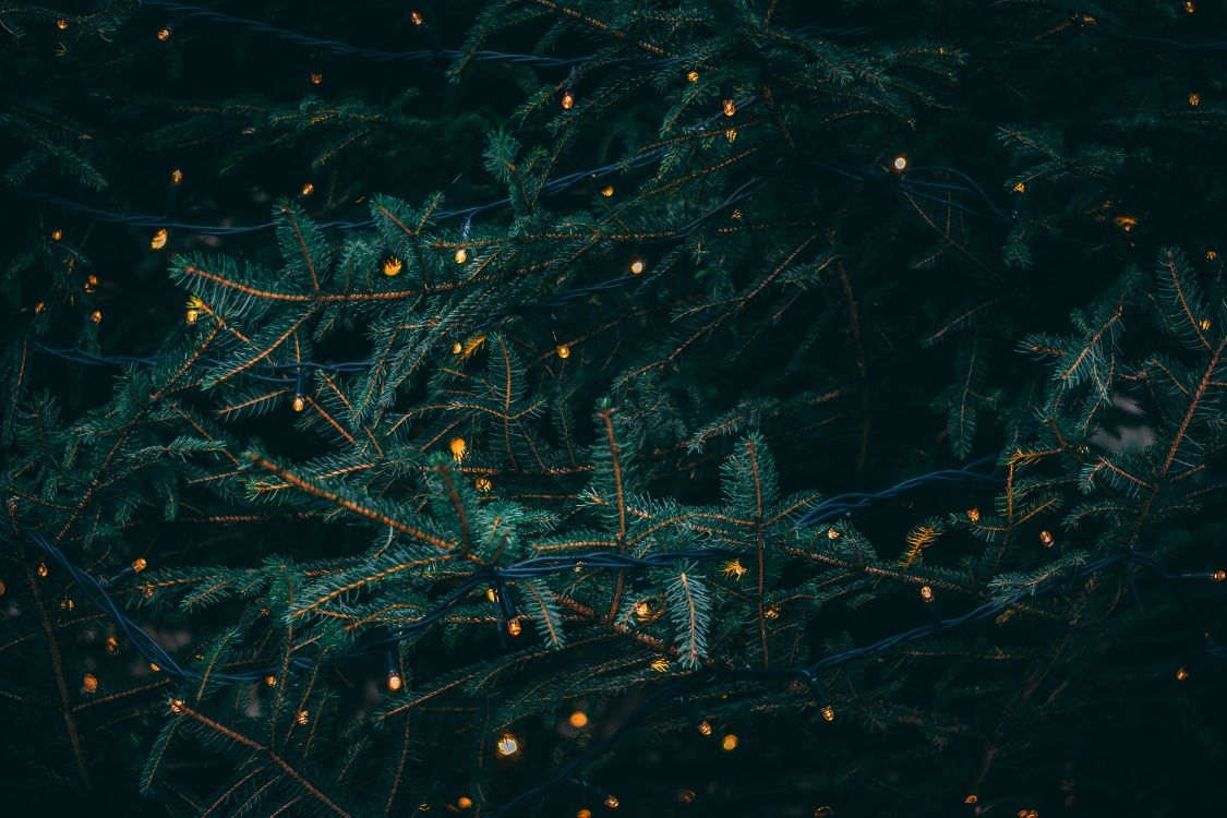 El Día De Navidad, Luces de Navidad, Agua, Turquesa, Patrón. Wallpaper in 6000x4000 Resolution