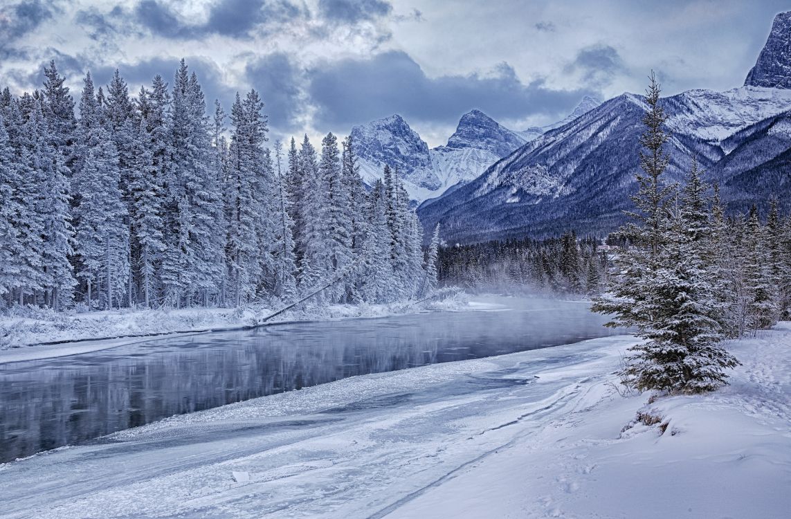 snow covered trees and mountains during daytime