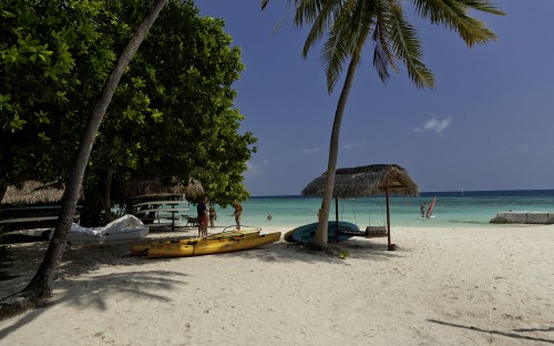 Image people riding on yellow kayak on beach during daytime