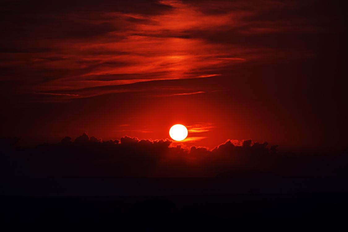 silhouette of trees during sunset