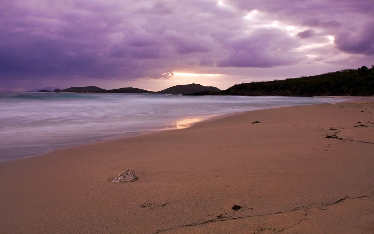 brown sand beach during sunset