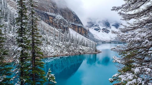 Image lake between trees and mountain