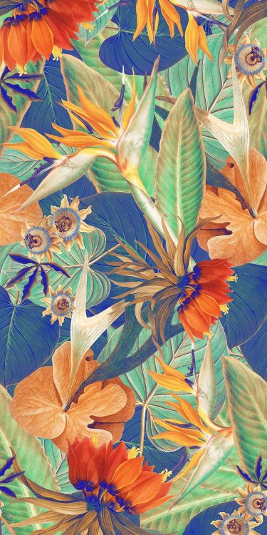 Arte, Buena, Diseño, la Botánica, Pintura de Arte. Wallpaper in 1080x2160 Resolution
