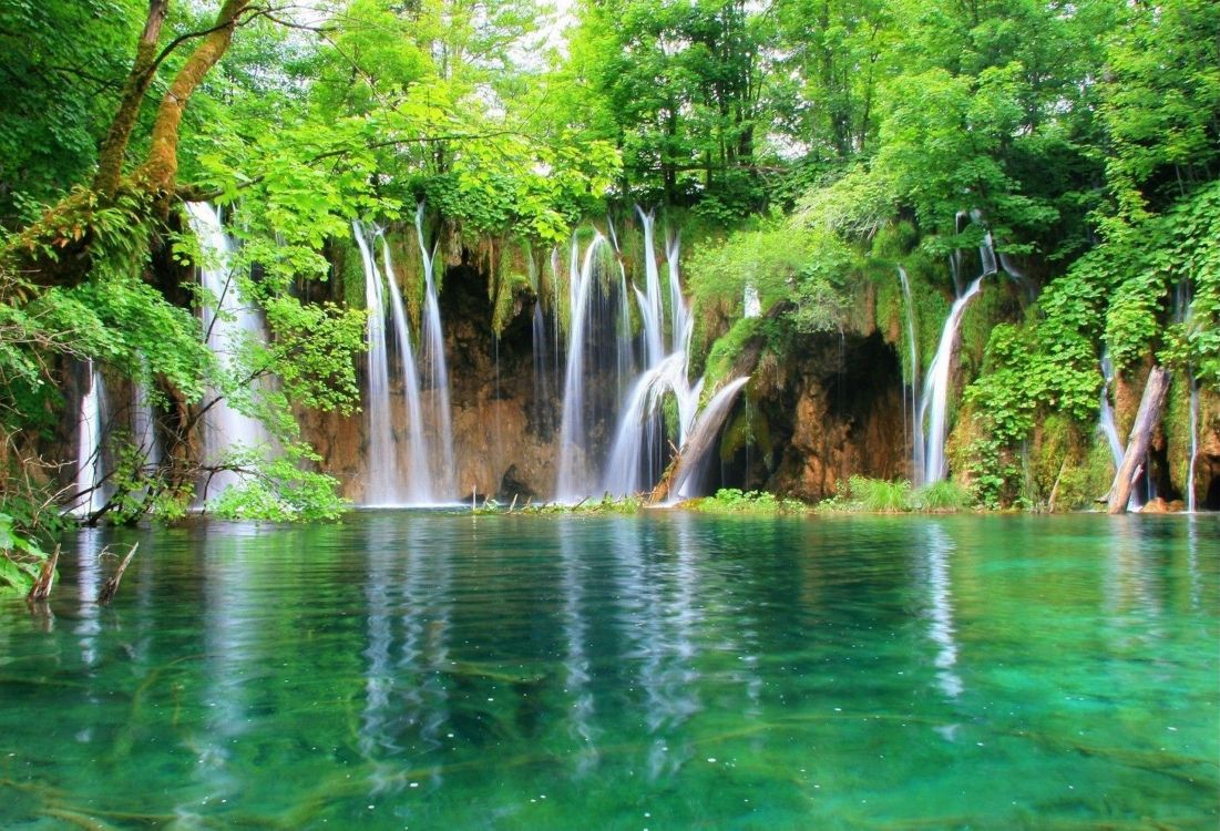 L'eau Tombe au Milieu Des Arbres Verts. Wallpaper in 2560x1743 Resolution