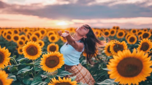 Image flower, plant, daytime, cloud, facial expression