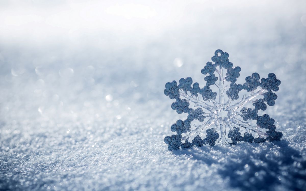 Copos de Nieve Blanca Sobre Arena Gris. Wallpaper in 2560x1600 Resolution