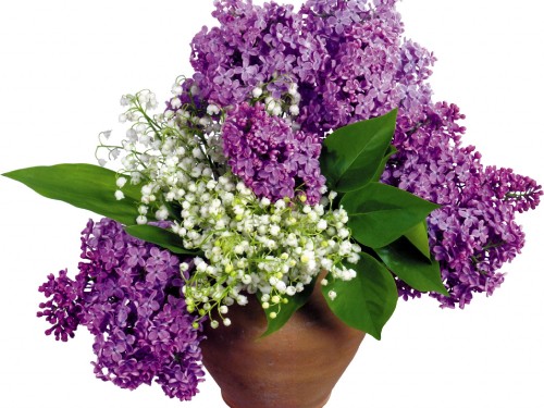 Image purple flowers on brown vase