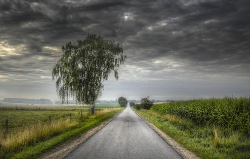 Image gray asphalt road between green grass field under gray cloudy sky during daytime