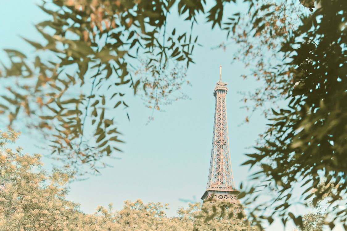 Download 6100x4066 Wallpaper Eiffelturm in Paris Tagsüber Eiffelturm in Paris Tagsüber. Wallpaper in 6100x4066 Resolution