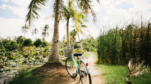 Image blue city bike parked beside palm tree during daytime