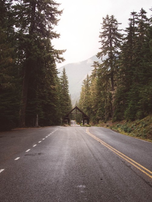 Image mount rainier national park, road surface, road trip, sky, sunlight