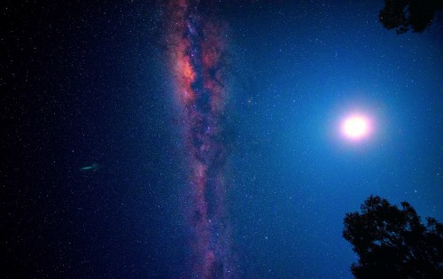 Image silhouette of trees under blue sky during night time