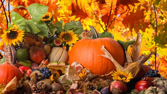 Image orange pumpkin surrounded by brown and green leaves