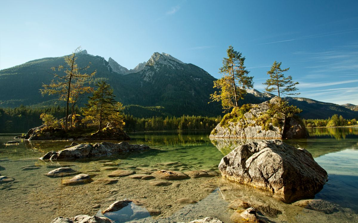 green trees near lake during daytime