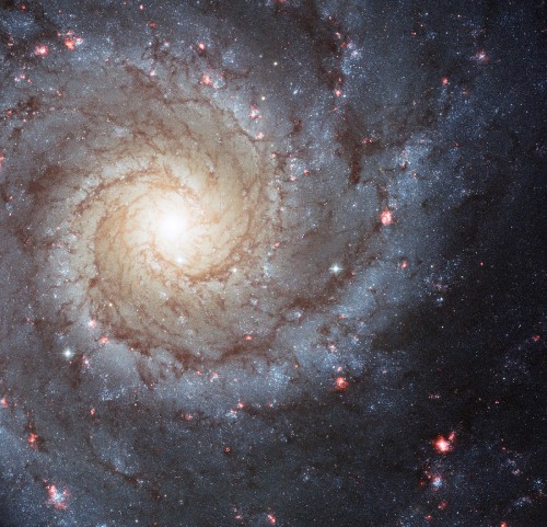 Image messier 74, spiral galaxy, galaxy, astronomy, nebula