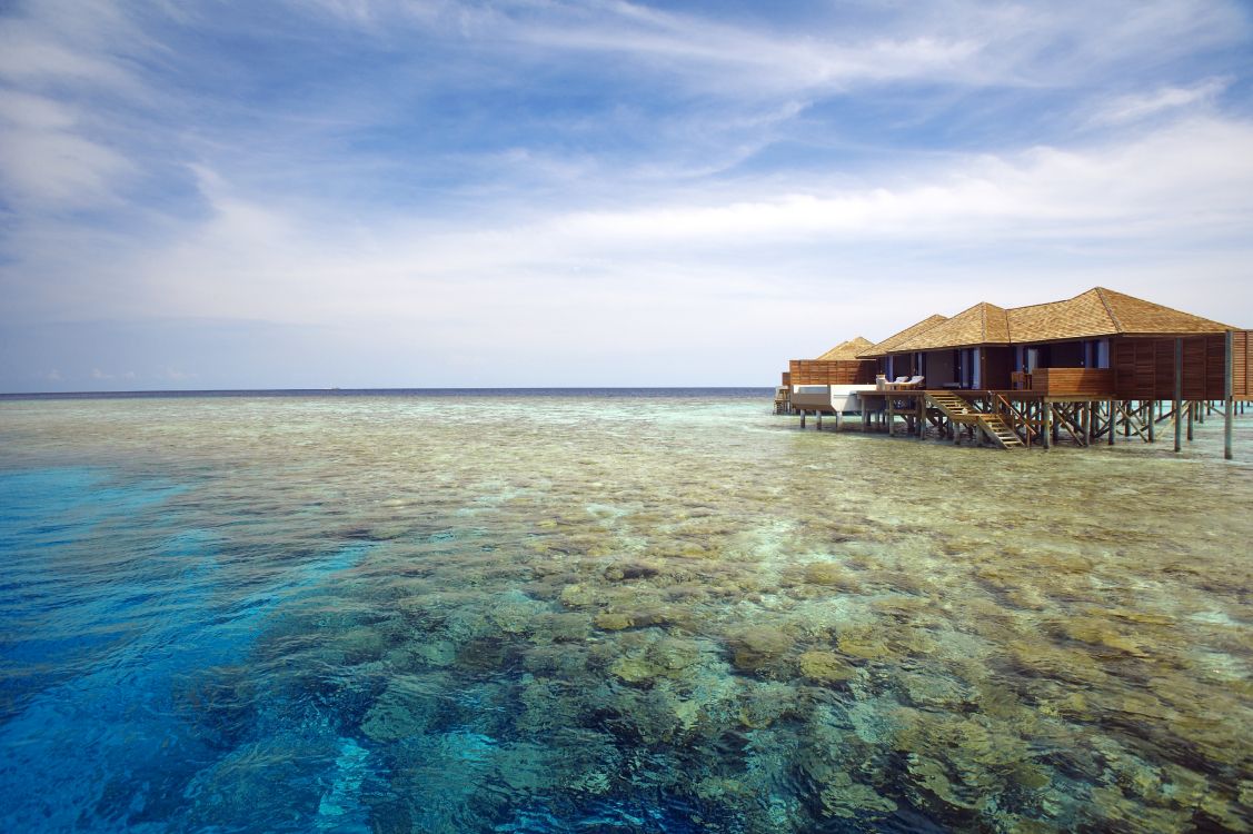 brown wooden house on body of water under blue sky during daytime