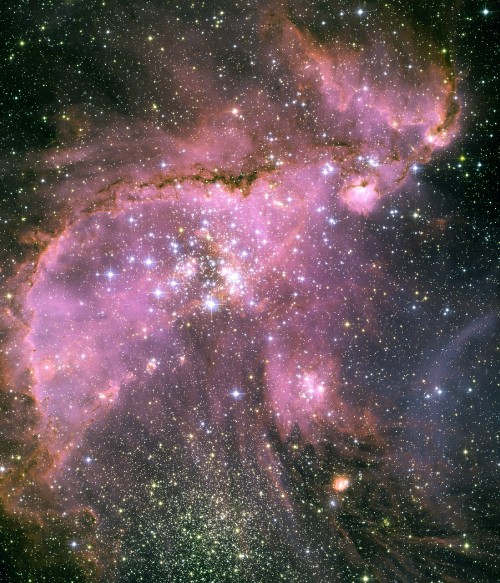 Image ngc 346, star, nebula, universe, Small Magellanic Cloud