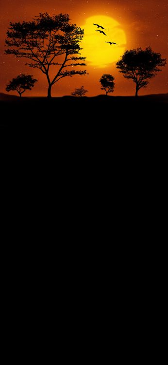 海报, 剪影, 艺术, 气氛, 生态区 壁纸 1080x2340 允许